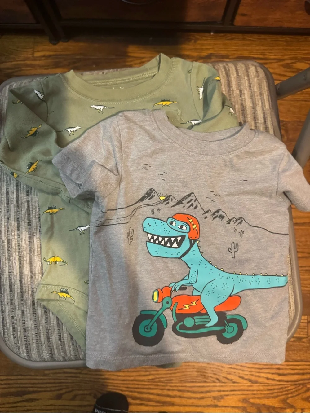 Toddler Dinosaur Moto Tee and Dino Bodysuit Set - Gray & Olive 12-Month